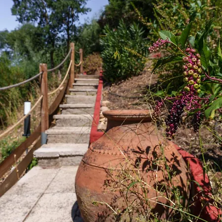 Monte Arribas Do Bracal By 4u * Abrantes