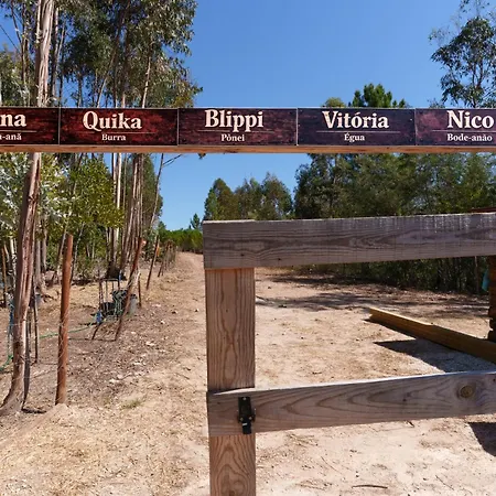 Monte Arribas Do Bracal By 4u Villa *