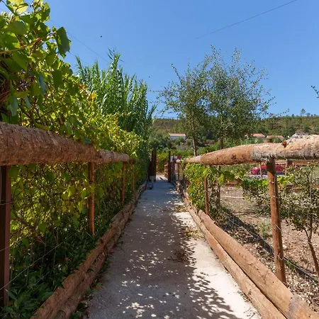 Villa Monte Arribas Do Bracal By 4u